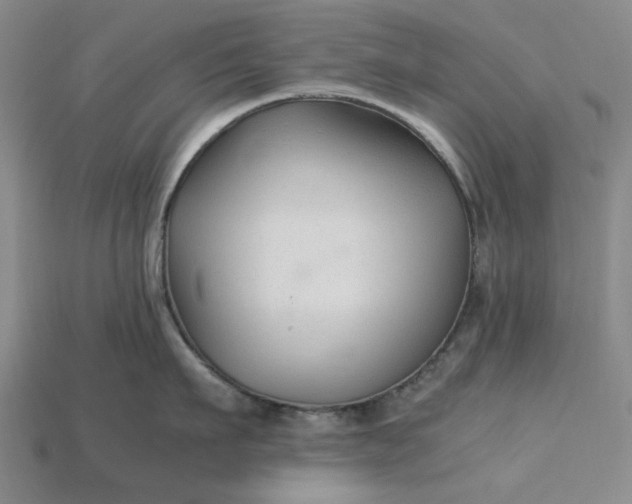 X0000115260911200911131743