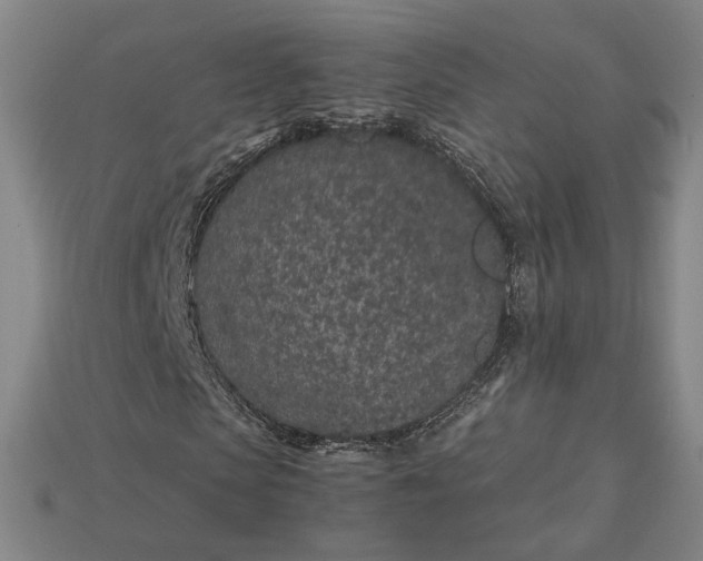 X0000115260913200911131743