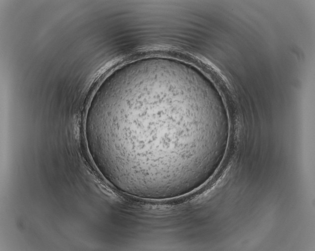 X0000115260921200911131743