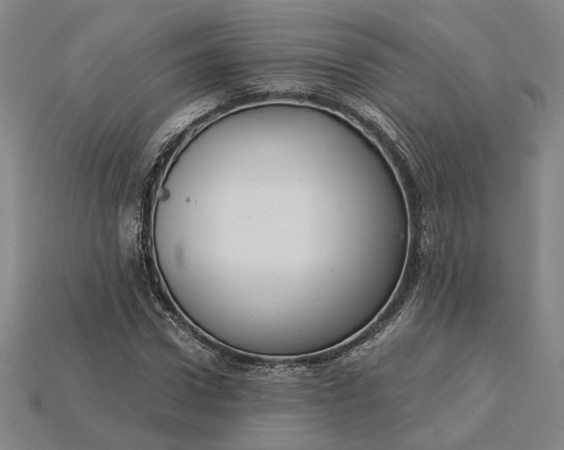 X0000115260922200911131743