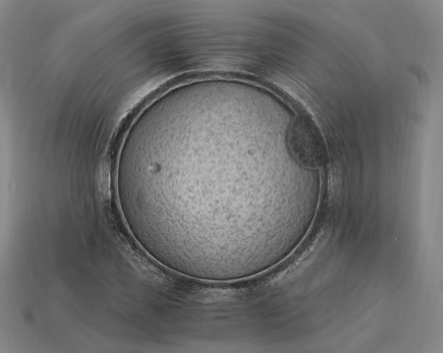 X0000115260925200911131743