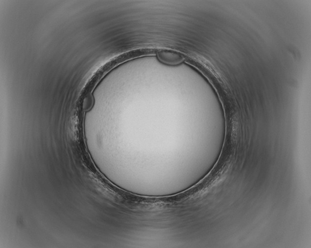 X0000115260926200911131743