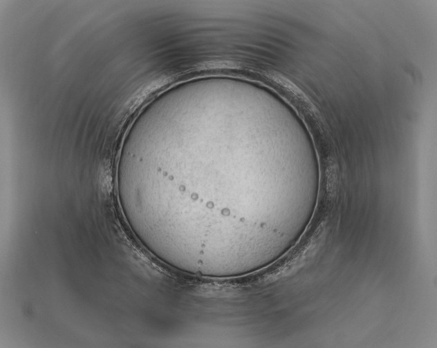 X0000115260929200911131743