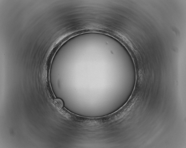 X0000115260931200911131743