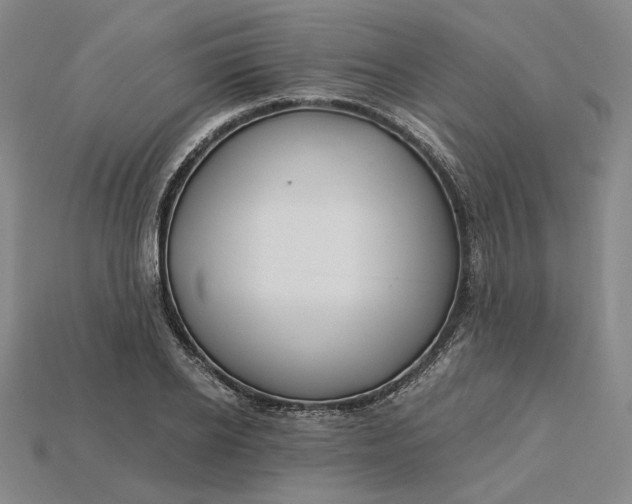 X0000115260934200911131743