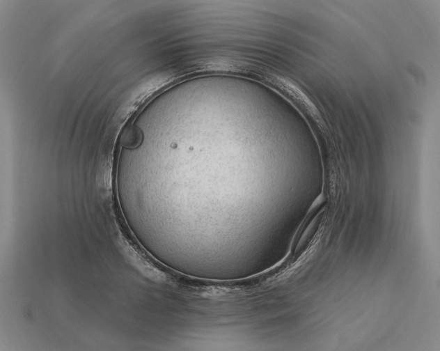 X0000115260938200911131743