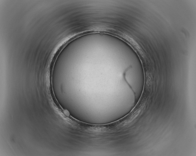 X0000115260939200911131743