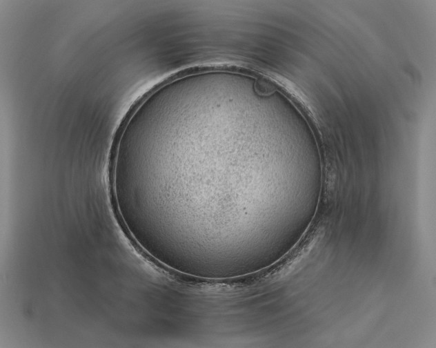 X0000115260943200911131743