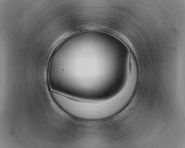 X0000115260946200911131743