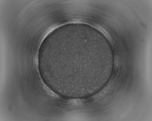 X0000115260950200911131743