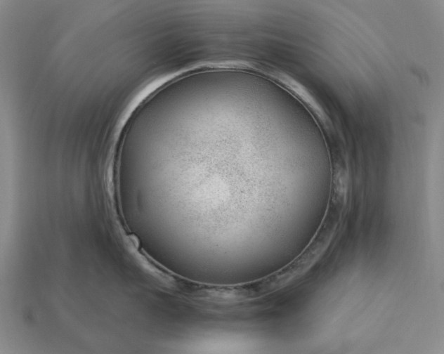 X0000115260959200911131743