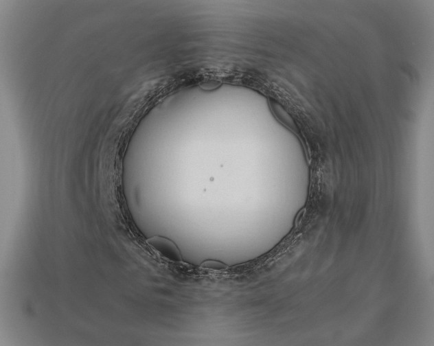 X0000115260961200911131743