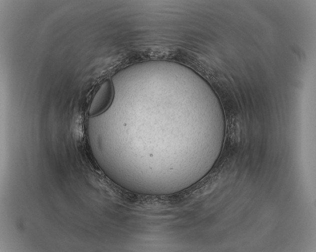 X0000115260962200911131743