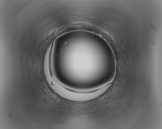 X0000115260965200911131743