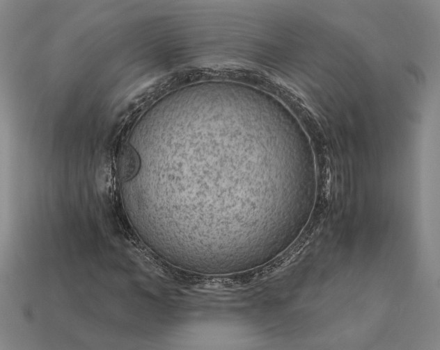 X0000115260966200911131743