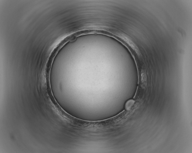 X0000115260972200911131743