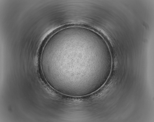 X0000115260975200911131743