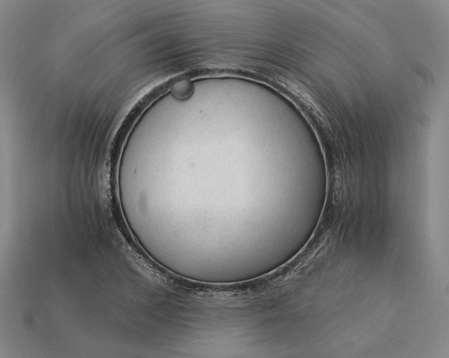 X0000115260976200911131743