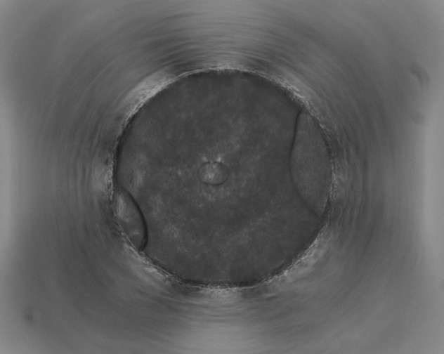 X0000115260977200911131743