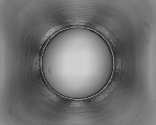 X0000115260978200911131742