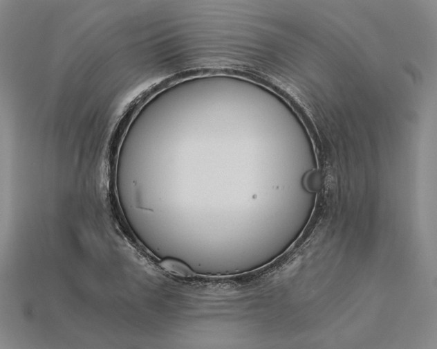 X0000115260979200911131742