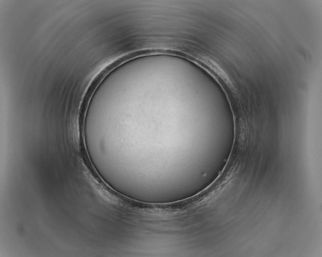 X0000115260980200911131742