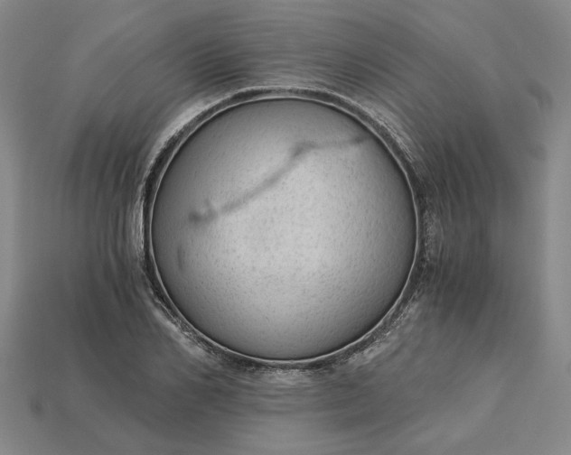 X0000115260982200911131742