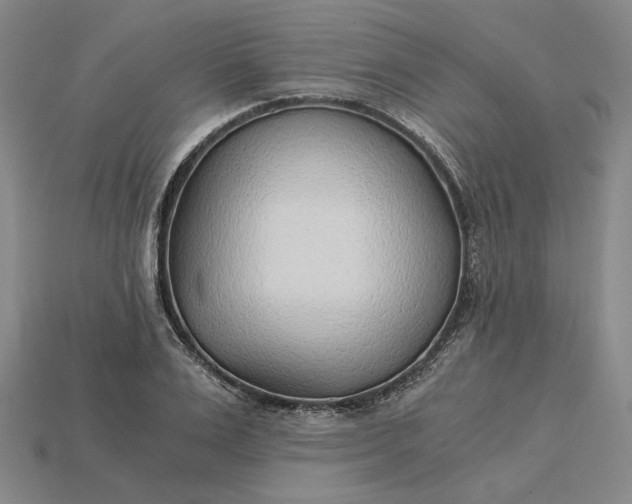 X0000115260983200911131742