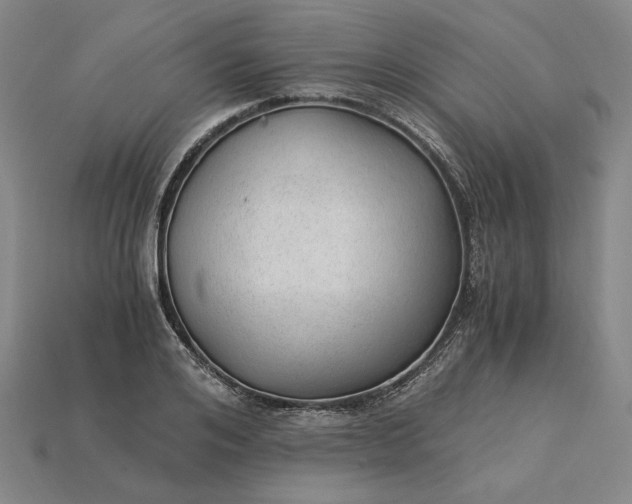 X0000115260984200911131742