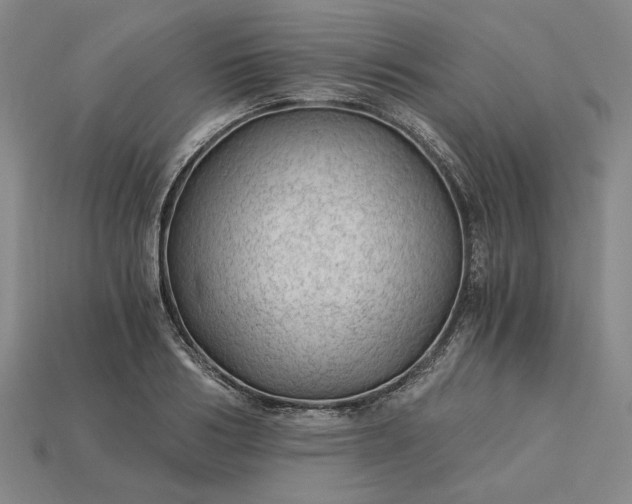X0000115260986200911131742