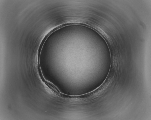 X0000115260988200911131742