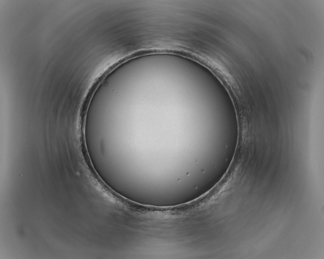 X0000115260990200911131742