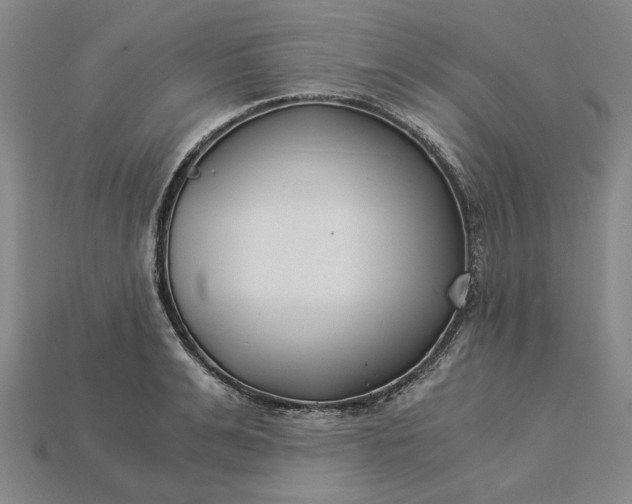 X0000115260991200911131742