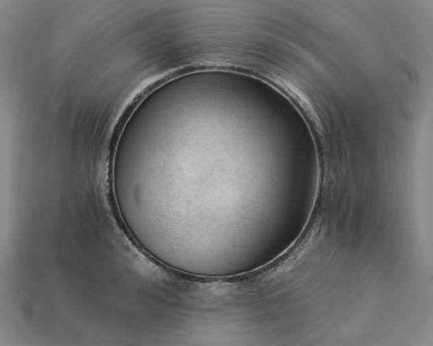 X0000115260992200911131742