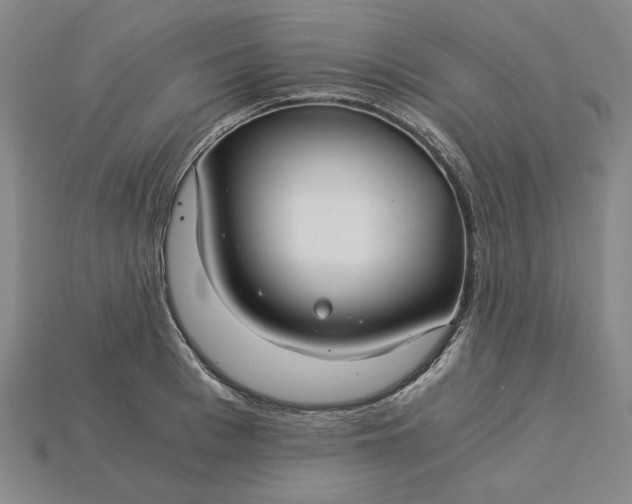 X0000115260993200911131742