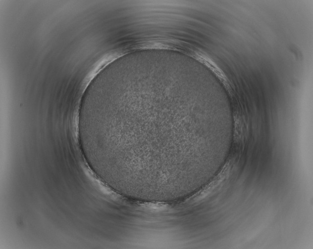 X0000115260994200911131742
