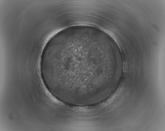 X0000115260995200911131742