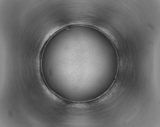 X0000115260998200911131742