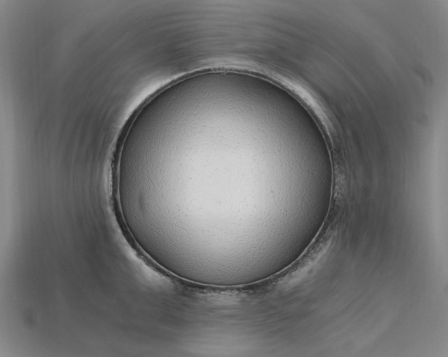X0000115260999200911131742