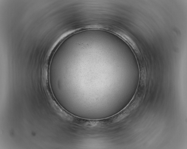 X0000115261000200911131742