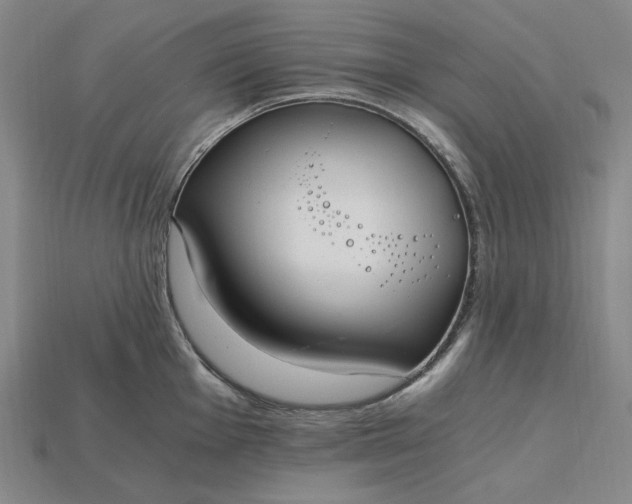 X0000115261001200911131742