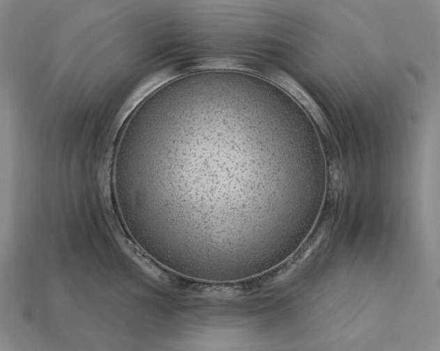 X0000115261002200911131742