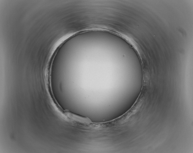 X0000115261003200911131742
