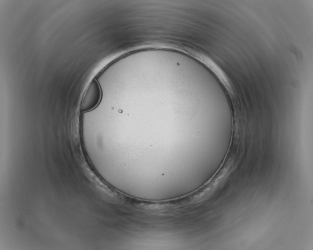 X0000115261004200911131742