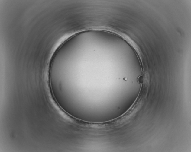 X0000115261005200911131742