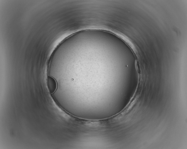 X0000115261006200911131742