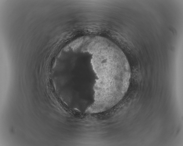 X0000115261009200911131741