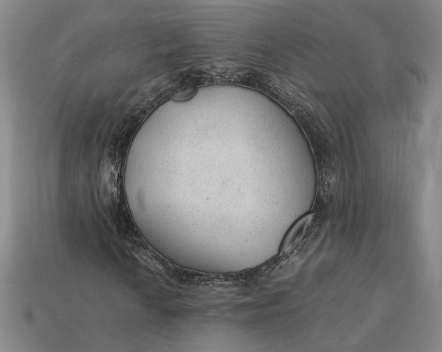 X0000115261010200911131742