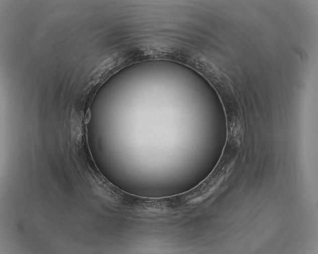 X0000115261012200911131742
