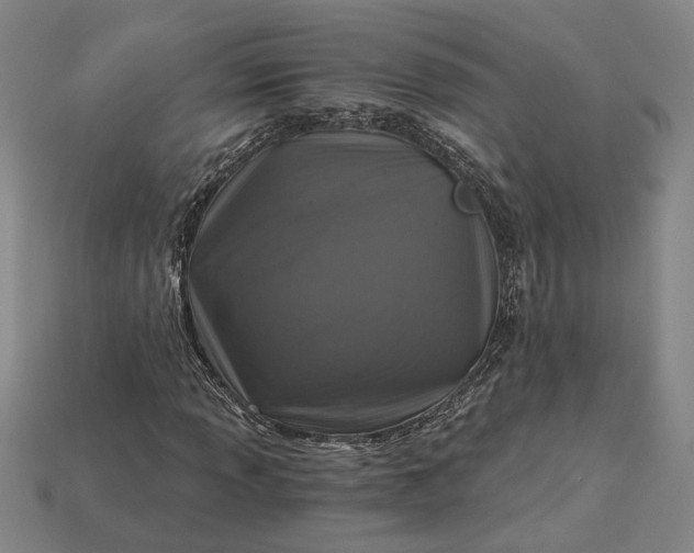 X0000115261013200911131742